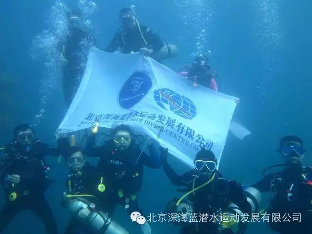 小猫钓鱼开船版最新版下载