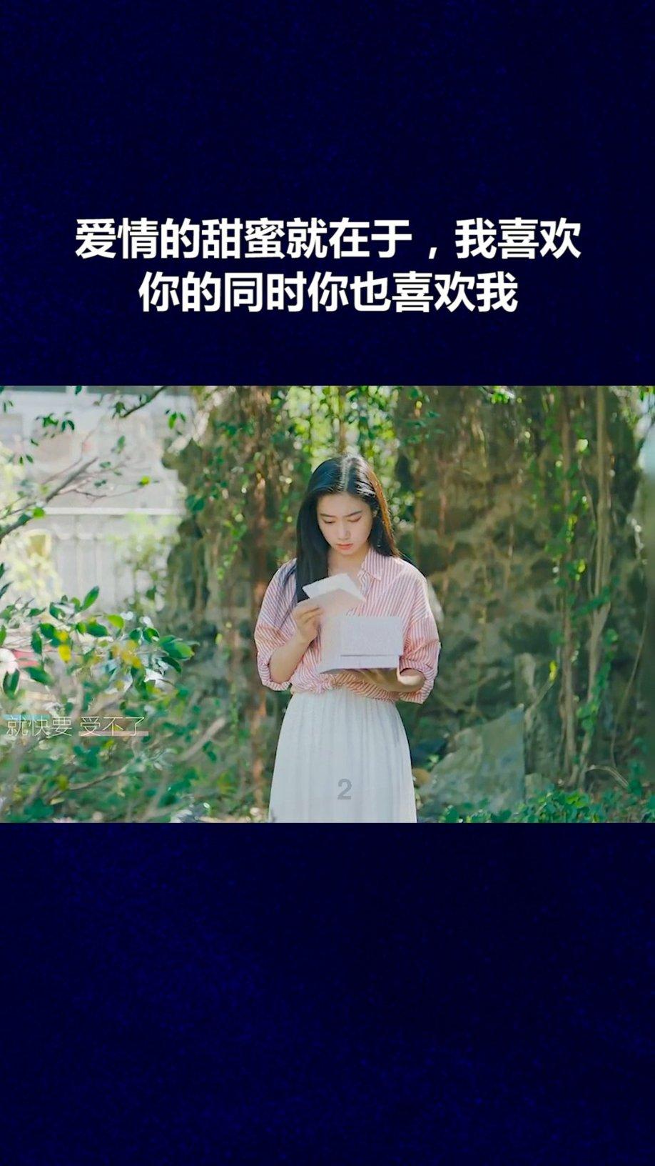 邢台沙河市第九届人民代表大会第四次会议公告(第三号